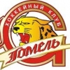 Гомельщина
